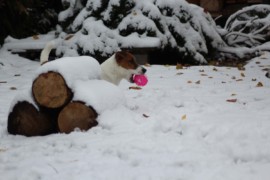 IMG 4771